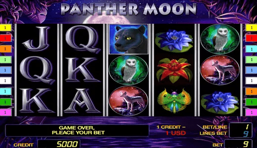 PantherMoon